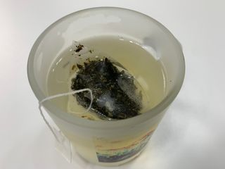 영지버섯님이 올린 리뷰 사진 4