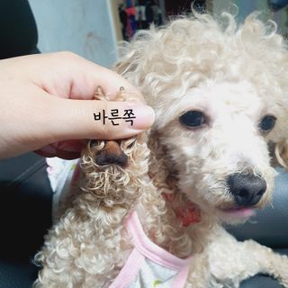 재님이 올린 리뷰 사진 3