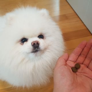비니씨님이 올린 리뷰 사진 4