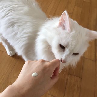 시몽님이 올린 리뷰 사진 1