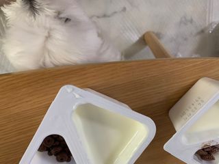 매일바이오 토핑요거트 — 5점을 준 리뷰어가 2021년 5월 올린 사용 사진