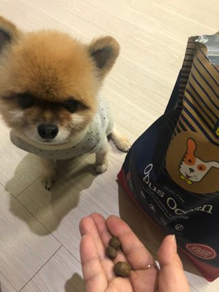 쭈야님이 올린 리뷰 사진 1