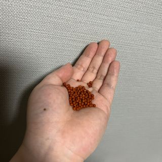 김여은님이 올린 리뷰 사진 4