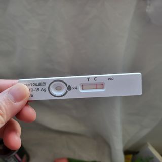 케이퓨리 아나파코 코로나 타액 자가 진단키트 1회분 3개 — 5점을 준 리뷰어가 2023년 4월 올린 사용 사진