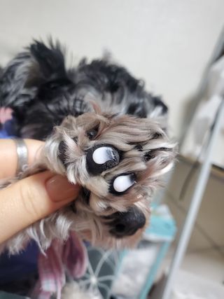 하희님이 올린 리뷰 사진 3