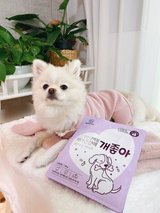 My Pet Care 천연단백질 치아건강에 개좋아 — 5점을 준 리뷰어가 2021년 2월 올린 사용 사진