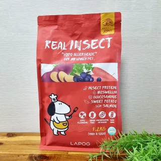 [푸디웜] 라포그  리얼인섹트 관절 저알러지 강아지 사료  1.2KG — 5점을 준 리뷰어가 2022년 8월 올린 사용 사진