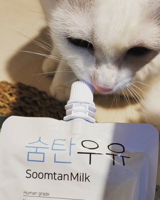 대박이님이 올린 리뷰 사진 1
