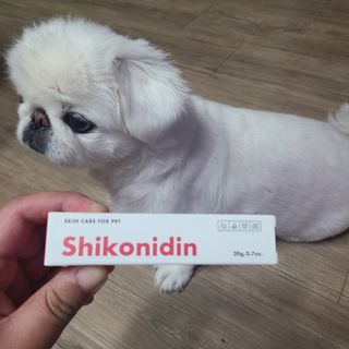 [자유펫] 시코니딘 고양이 강아지 피부 보습 연고 20g — 5점을 준 리뷰어가 2021년 10월 올린 사용 사진