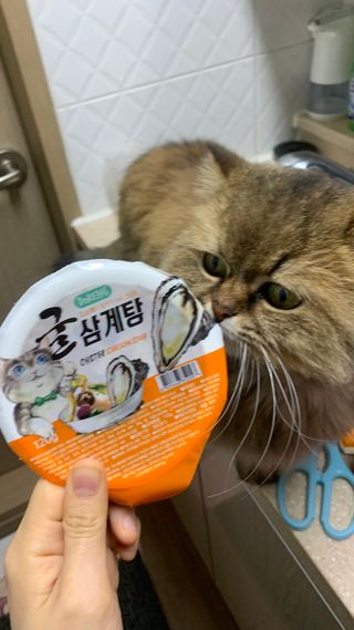 Favorite님이 올린 리뷰 사진 1