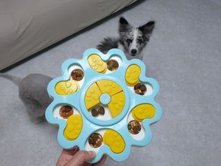 새댁님이 올린 리뷰 사진 3