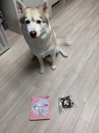 제육이님이 올린 리뷰 사진 2