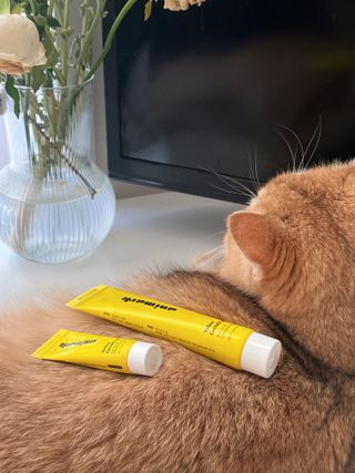 달님이 올린 리뷰 사진 1