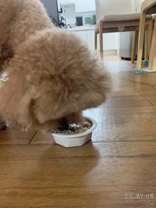 ve_randa님이 올린 리뷰 사진 3