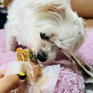 뽀히님이 올린 리뷰 사진 4