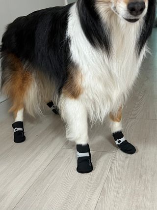 디안님이 올린 리뷰 사진 3