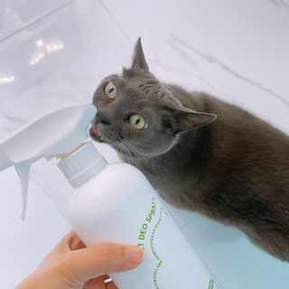 부우기님이 올린 리뷰 사진 1