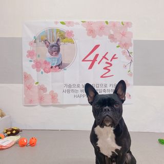 콩비지맘님이 올린 리뷰 사진 1