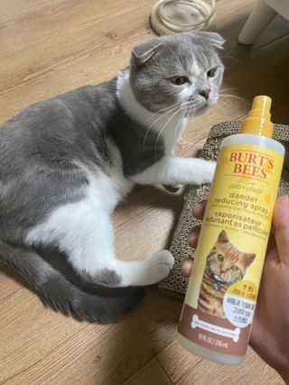 현민김님이 올린 리뷰 사진 2