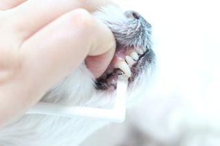 희온느님이 올린 리뷰 사진 4