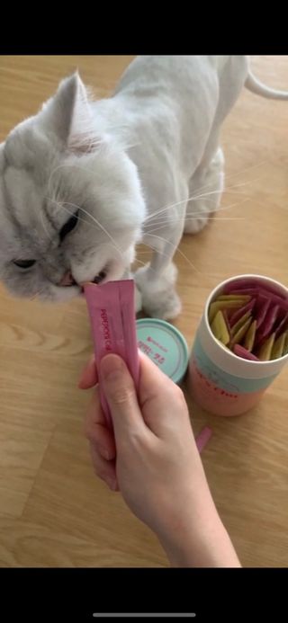 페페로니 잘 먹는 캣츄 - 무항생제 닭고기 12개 + 알래스카 연어 12개 — 5점을 준 리뷰어가 2021년 7월 올린 사용 사진