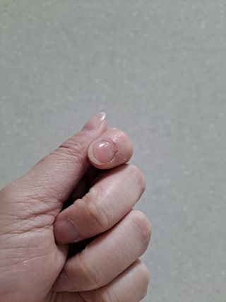 제라늄님이 올린 리뷰 사진 4