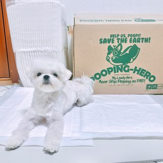 펭뽀꾸님이 올린 리뷰 사진 4