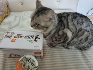 noname님이 올린 리뷰 사진 2