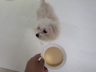 주여니이님이 올린 리뷰 사진 3