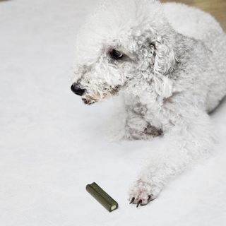 윤희님이 올린 리뷰 사진 4