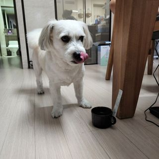 얄룽링님이 올린 리뷰 사진 1