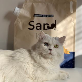 누래님이 올린 리뷰 사진 1