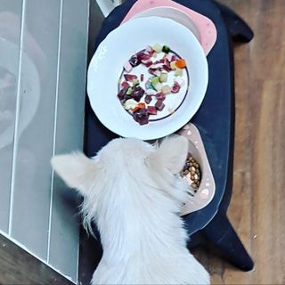 twoy0ung님이 올린 리뷰 사진 1