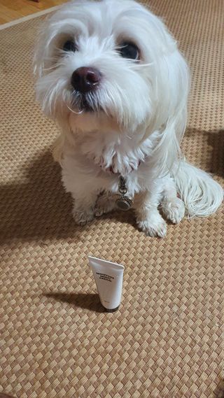 공팔리터님이 올린 리뷰 사진 1