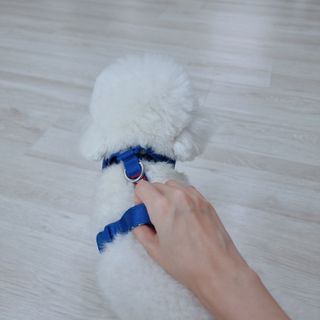 우주님이 올린 리뷰 사진 2