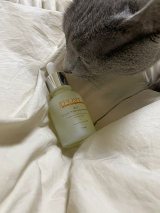 여온님이 올린 리뷰 사진 1