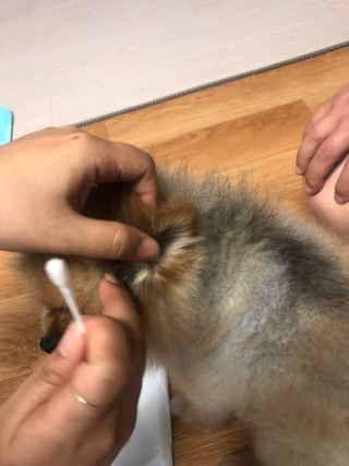쭈야님이 올린 리뷰 사진 3