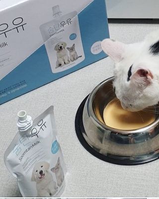 귀욤뽀짝센스쟁이님이 올린 리뷰 사진 4