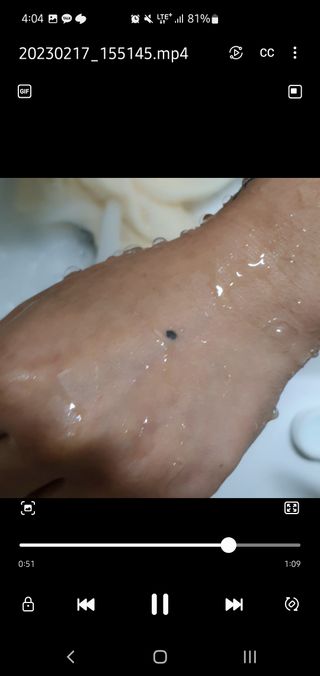 아코맘님이 올린 리뷰 사진 3
