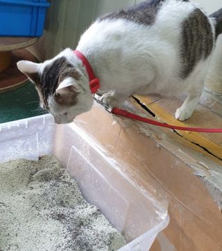 져니님이 올린 리뷰 사진 3