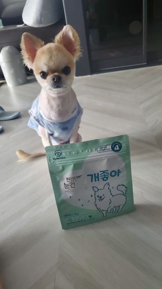 My Pet Care 천연단백질 눈건강에 개좋아 — 5점을 준 리뷰어가 2021년 2월 올린 사용 사진