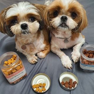 페페로니 진짜 오메가3 연어+소고기 180g+180g — 4점을 준 리뷰어가 2021년 7월 올린 사용 사진