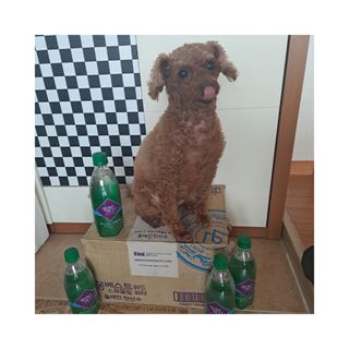 몽베스트 Montbest with Sparkling water Plain 20병 — 5점을 준 리뷰어가 2022년 7월 올린 사용 사진