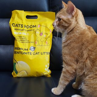 겟플렉스 켓플렉스 캣츠룸BS-1 고양이모래 4kg — 5점을 준 리뷰어가 2021년 1월 올린 사용 사진