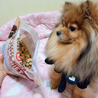 은선이짱님이 올린 리뷰 사진 3