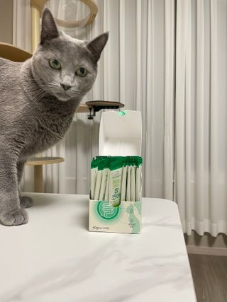 여온님이 올린 리뷰 사진 4
