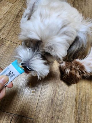 뿌꾸님이 올린 리뷰 사진 3