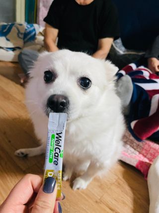 진진님이 올린 리뷰 사진 2
