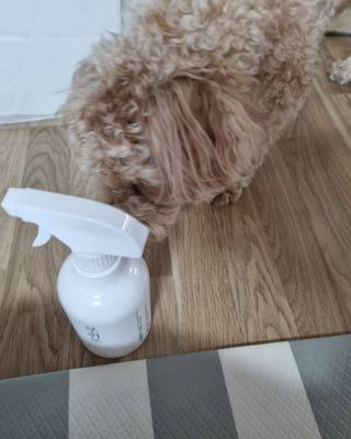 기린짱맘님이 올린 리뷰 사진 4