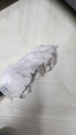 찐님이 올린 리뷰 사진 3